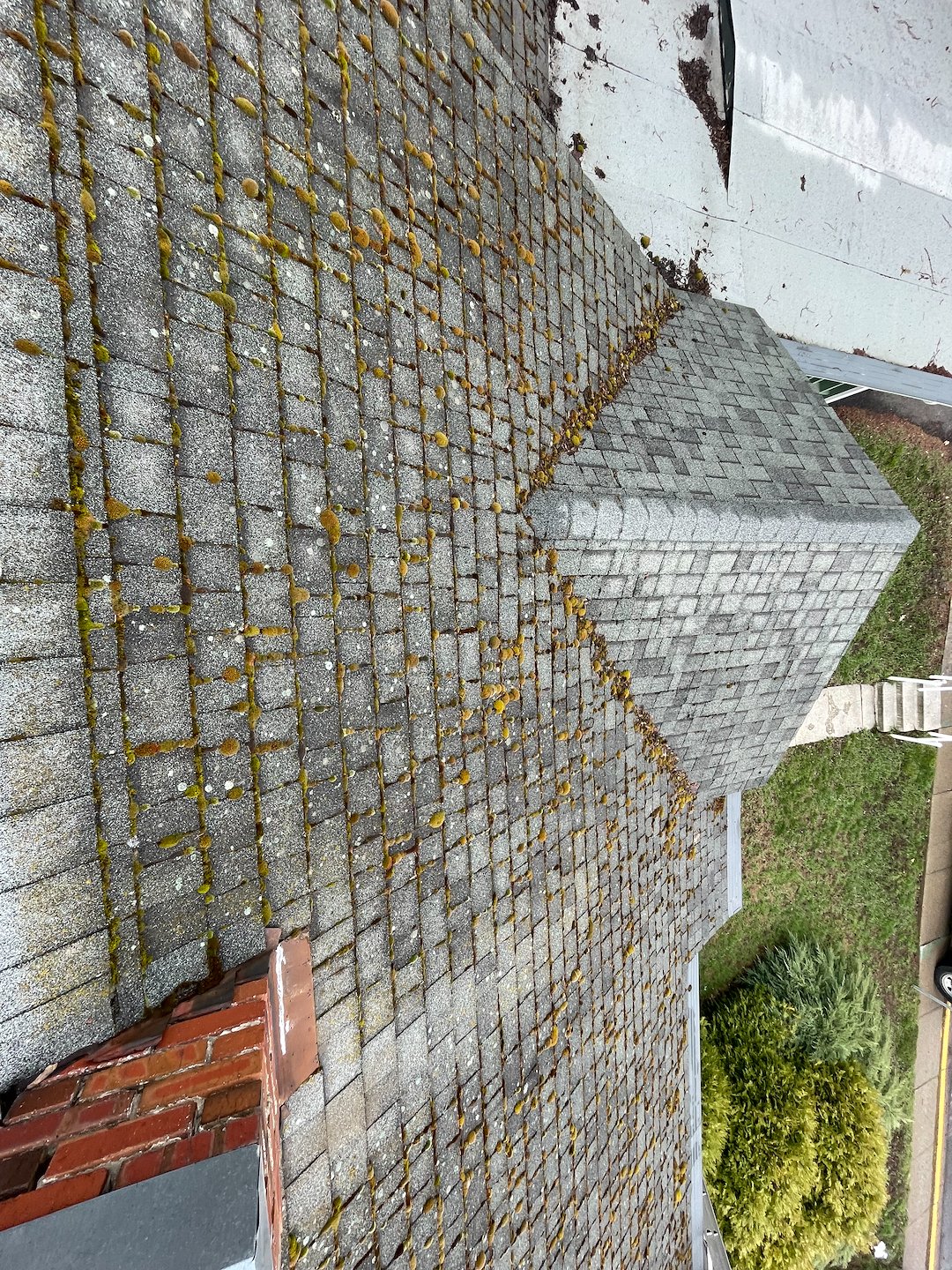 Moss Removal Roof Wash in Pullman Thumbnail
